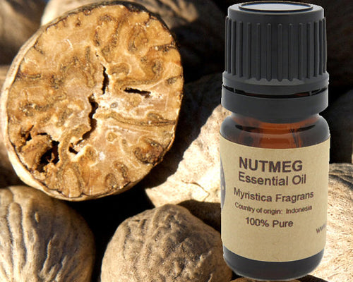 Nutmeg Essential Oil 5ml, 10 ml or 15 ml
