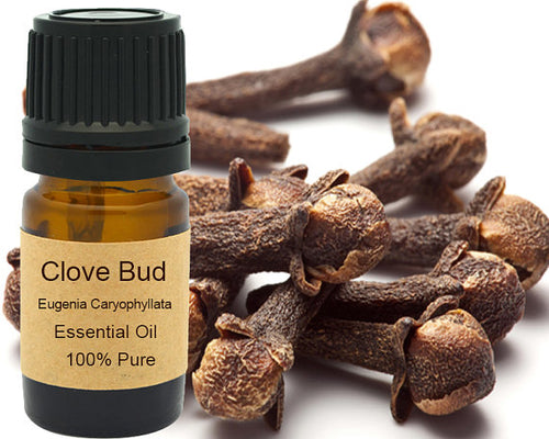 Clove Bud Essential Oil 5 ml, 10 ml or 15 ml