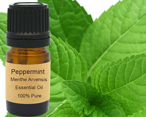 Peppermint Essential Oil 5 ml, 10 ml or 15 ml