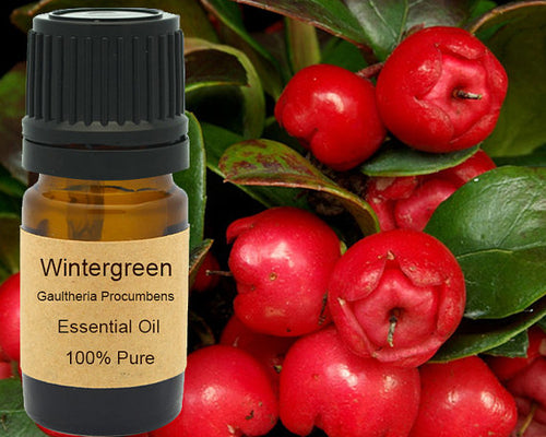 Wintergreen Essential Oil 5 ml, 10 ml or 15 ml