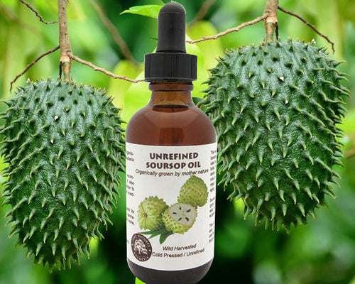 Virgin Soursop Graviola Guanabana  Oil