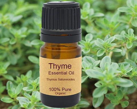 Thyme Essential Oil Organic 5 ml, 10ml or 15 ml