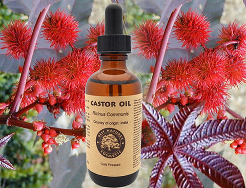 Castor Oil (Organic, Expeller Pressed)