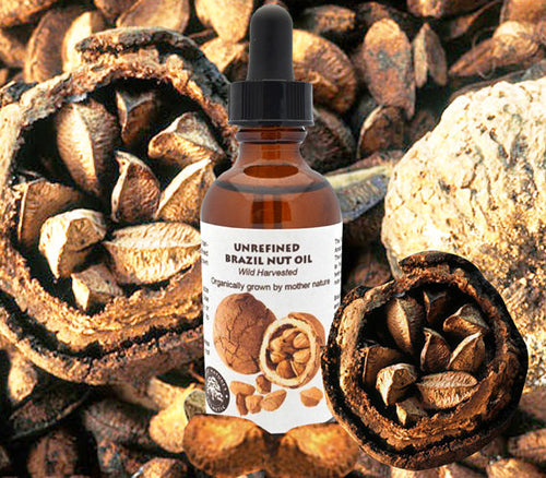 Virgin Brazil Nut Oil (organic, undiluted)