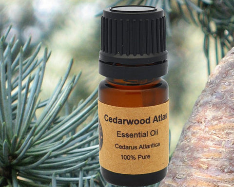 Cedarwood Atlas Essential Oil 5ml, 10 ml or 15 ml