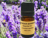Lavender Essential  from France, Region of - 10