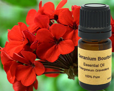 Geranium Bourbon Essential Oil 5 ml, 10 ml or 15