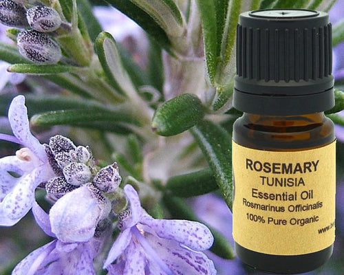 Rosemary Essential Oil (Organic) 5 ml, 10 ml or 15