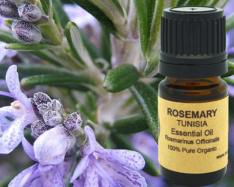 Rosemary Essential Oil (Organic) 5 ml, 10 ml or 15