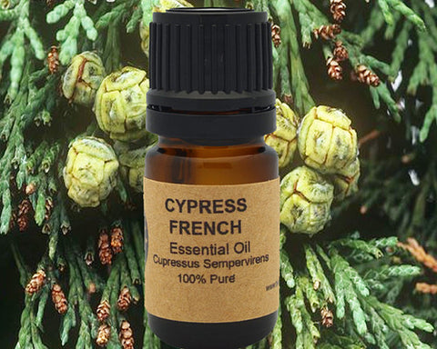 Cypress Essential Oil 5ml, 10 ml or 15 ml
