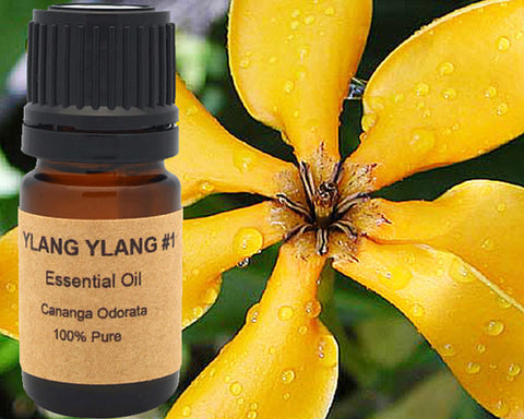 Ylang Ylang Essential Oil 5 ml, 10 ml or 15 ml