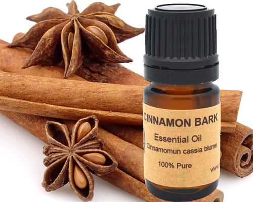 Cinnamon Bark Essential Oil 5ml, 10 ml or 15 ml